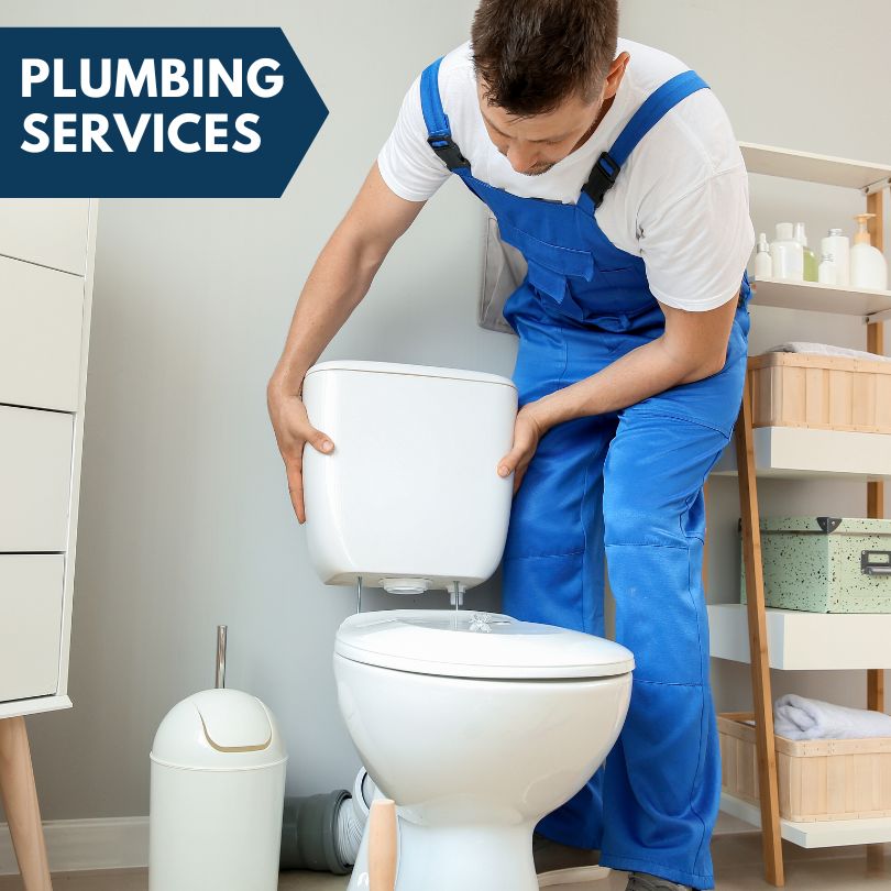 Plumbing Company in Teeds Grove, IA